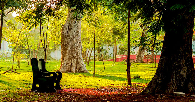 botanical-garden